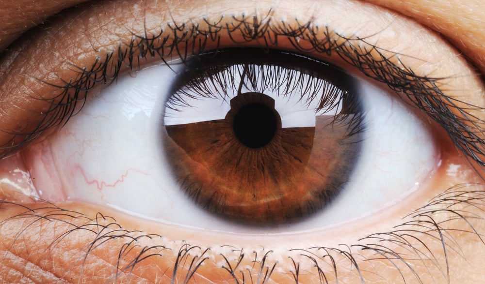 Close-up of a human eye