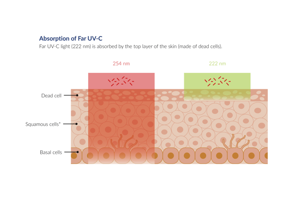 Far-UV-C-absorption-nm