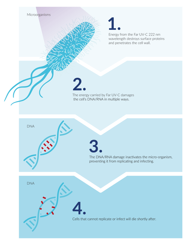 How-Far-UV-C-works