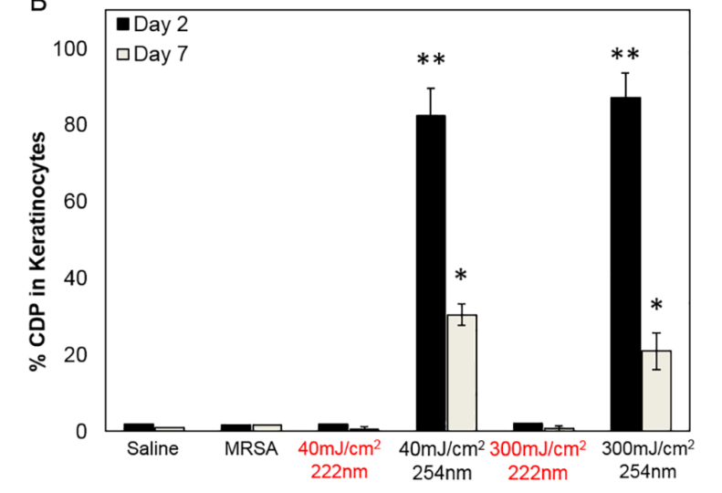 Bar chart of percentage of skin cells with DNA damage two and seven days after 222 nm or 254 nm on wounds