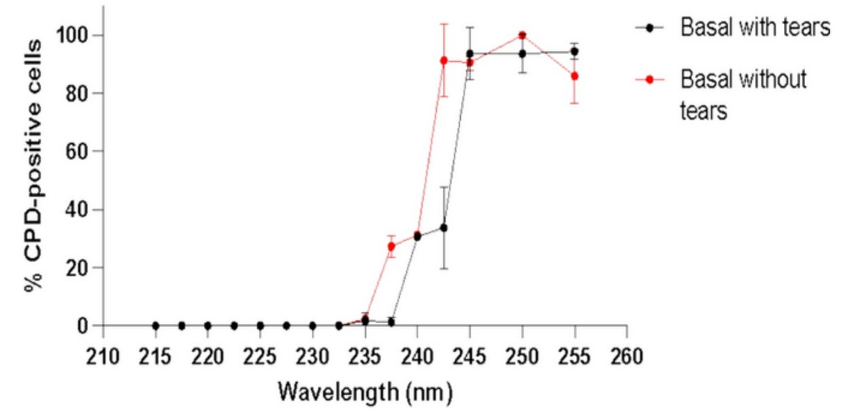 Chart of DNA-damaged basal cells in a human cornea model by UV-C wavelength from 210 to 260 nm