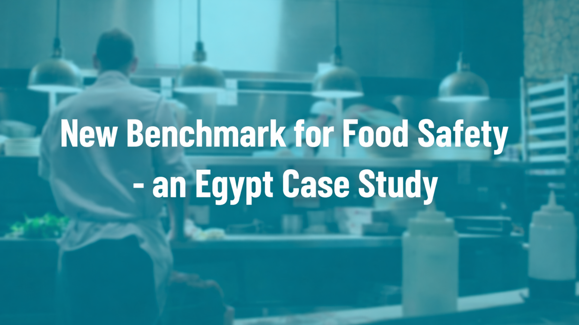 New Benchmark for Food Safety - an Egypt Case Study