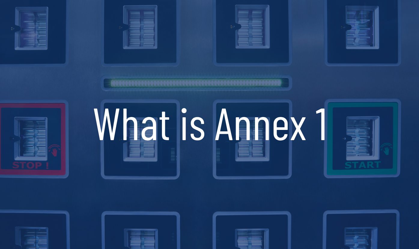 What is Annex 1